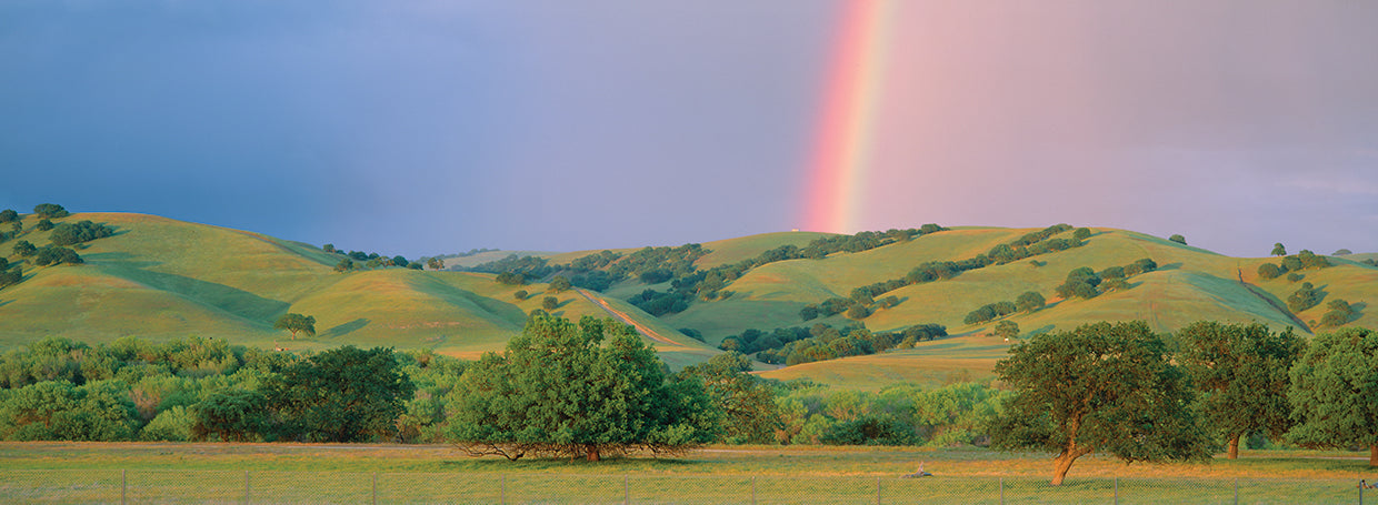Rainbow in Central California