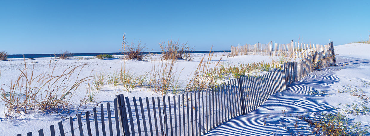 Fence on Santa Rosa Island