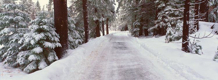 Winter Road in Lake Tahoe