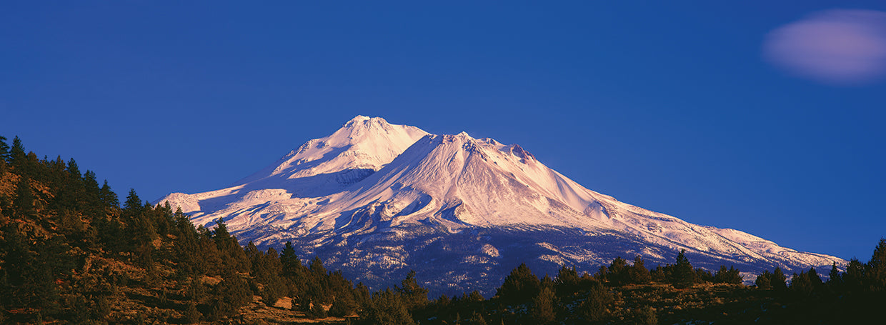 Mount Shasta at Sunrise