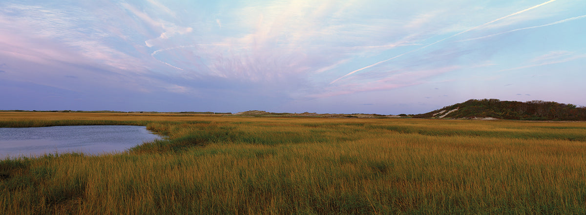 Cape Cod