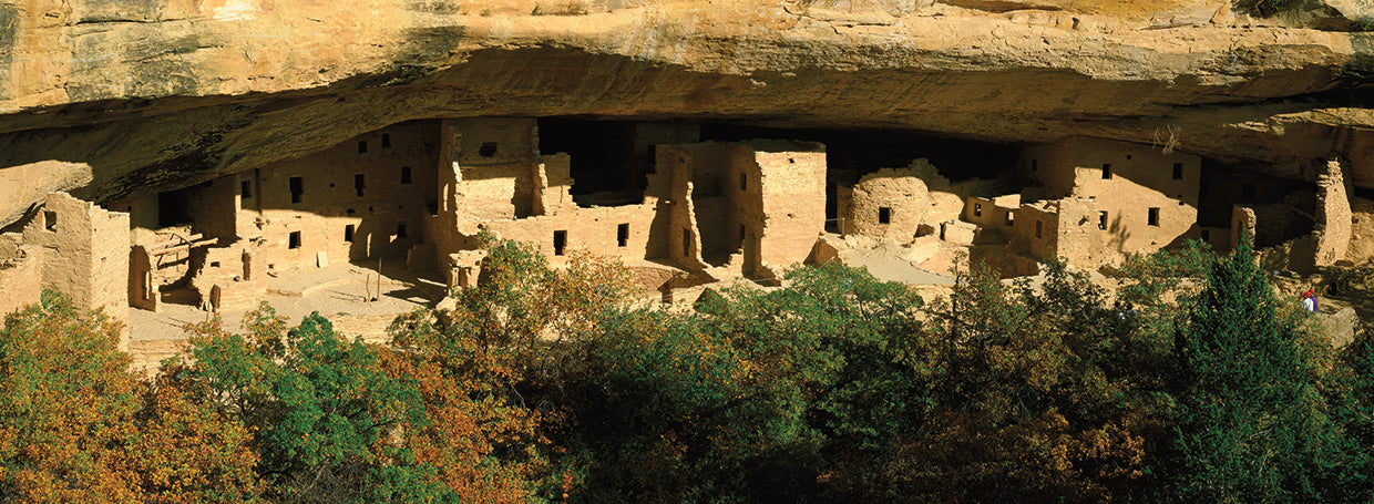 Casa del árbol de abeto Lienzo
