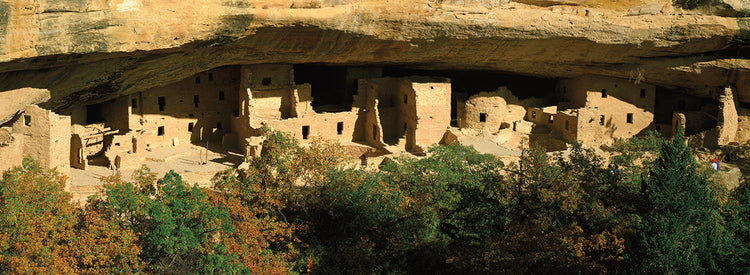 Casa del árbol de abeto Lienzo
