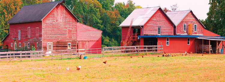 Barn on Route 34