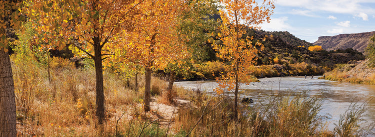 Fishing the Rio Grande