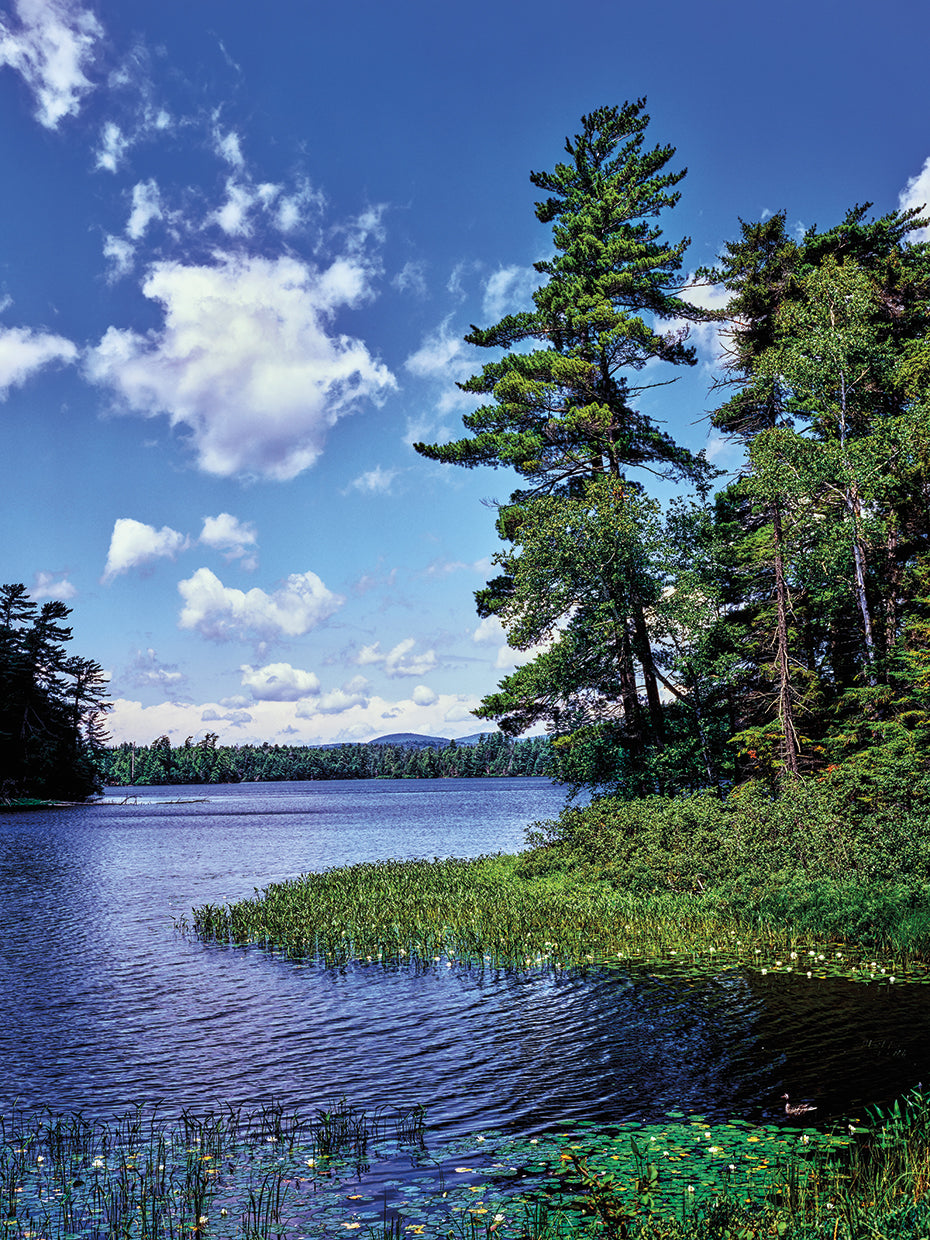 Follensby Clear Pond