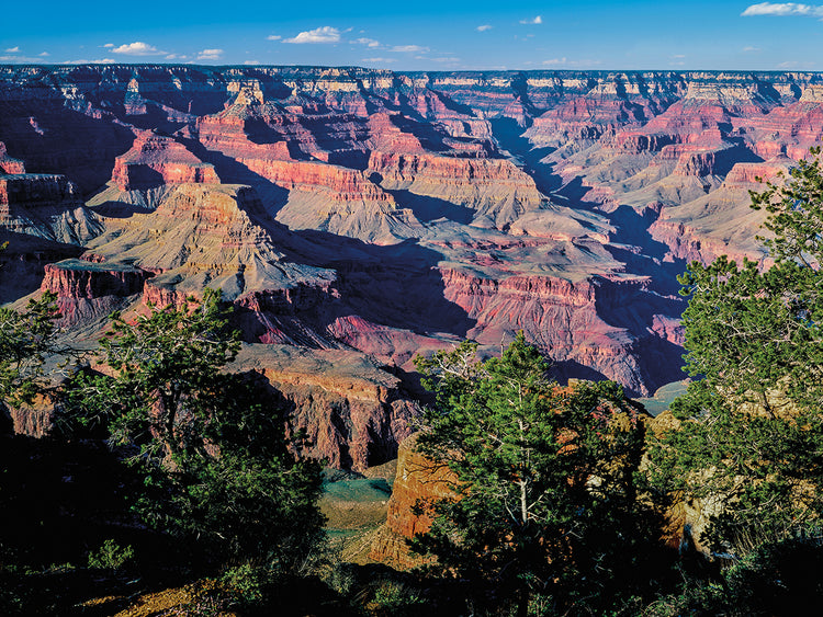 Grand Canyon's South Rim