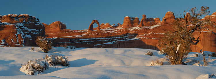 Delicate Arch in Winter