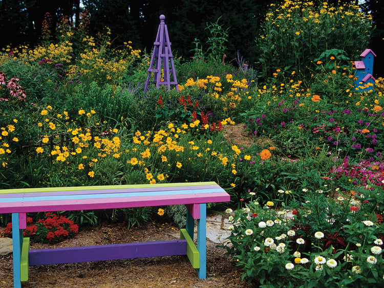 Colorful Bench and Birdhouse