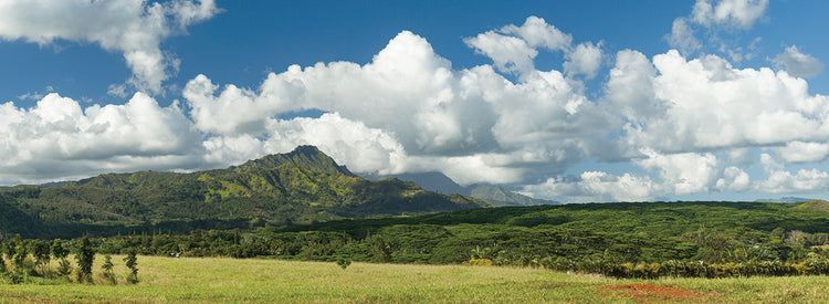 Looking Toward Kapaloa Peak