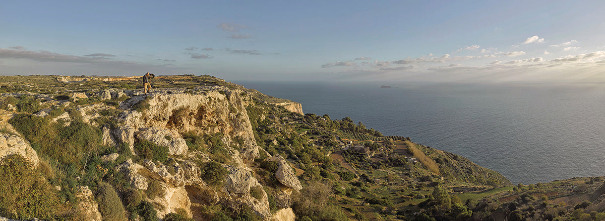 Falconry in Malta