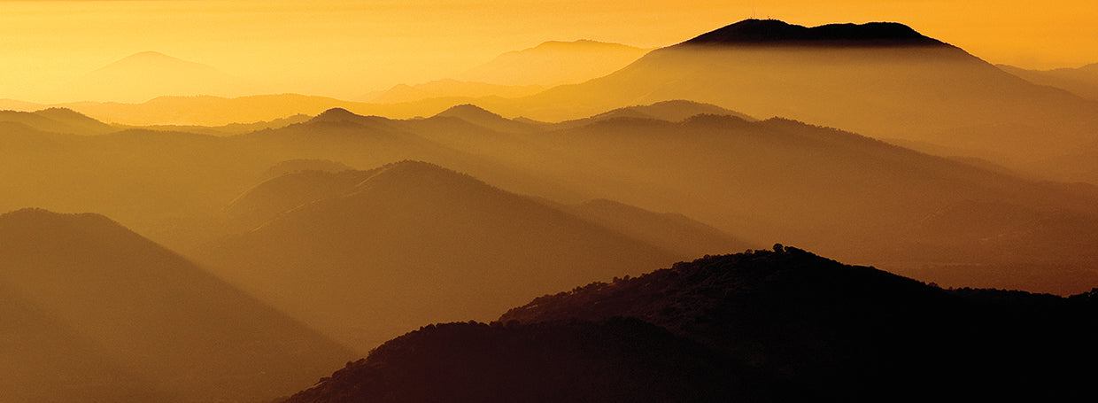 Foggy Mountains in California