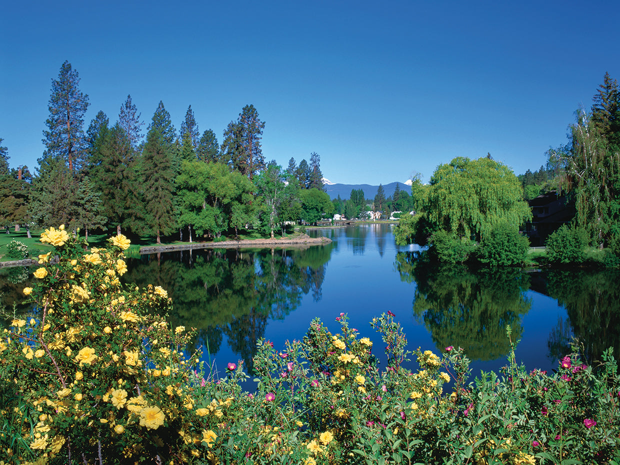 Reflections on Mirror Pond