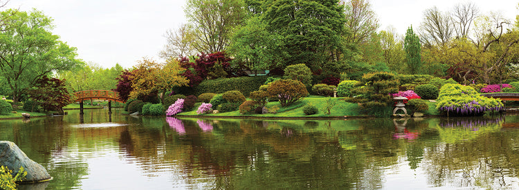 Estanque del jardín botánico de Missouri Lienzo