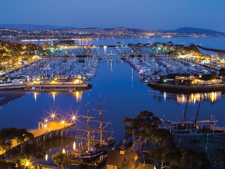 Puerto de Dana Point Lienzo