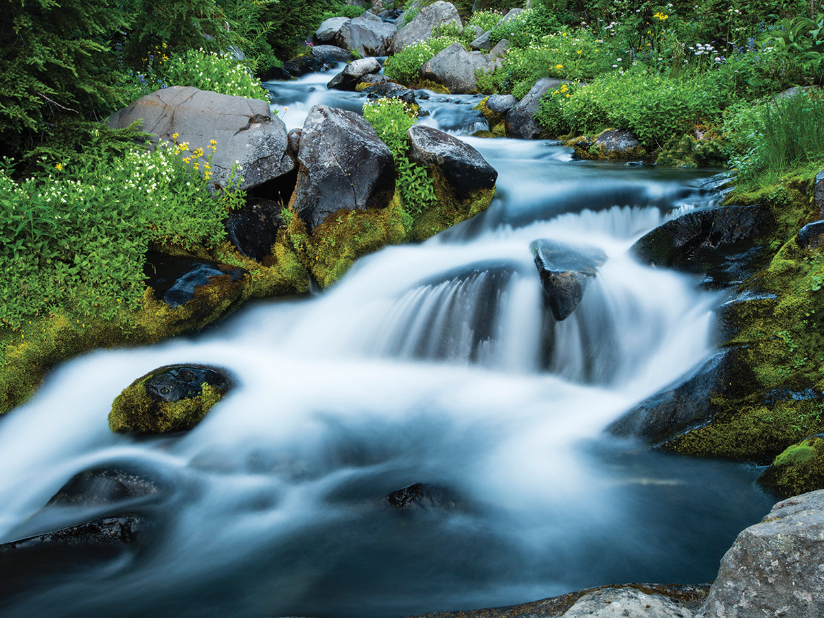 Waterfall at Mount Rainier