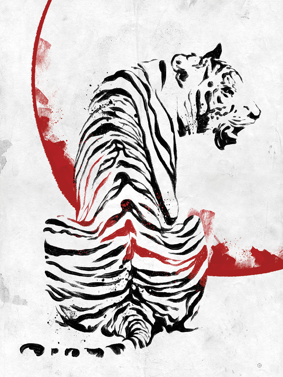 Tiger 01