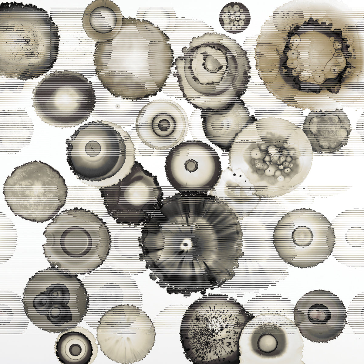 BIG GEODE #3 ALT V1