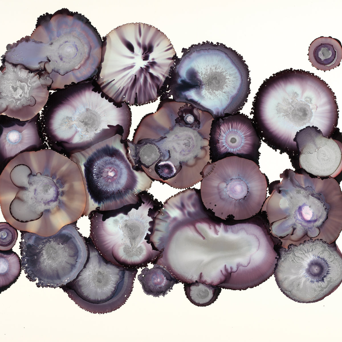 EGGPLANT
