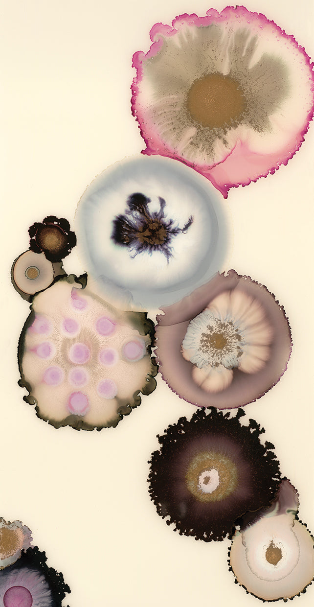 magnolia-iv-laura-van-horne