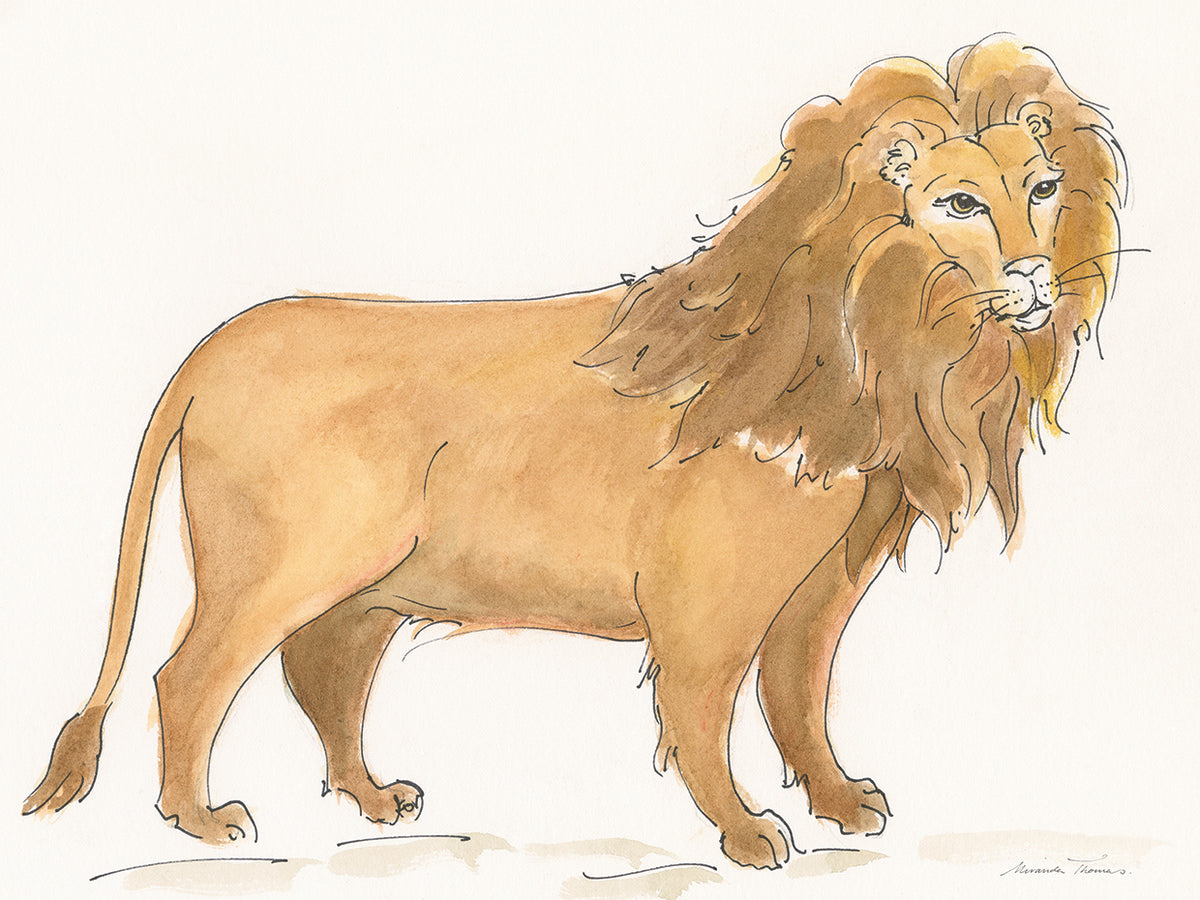 Big Cats II