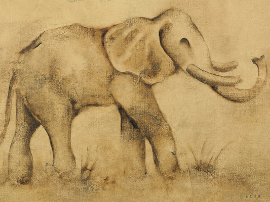 Global Elephant Light Crop Canvas Print