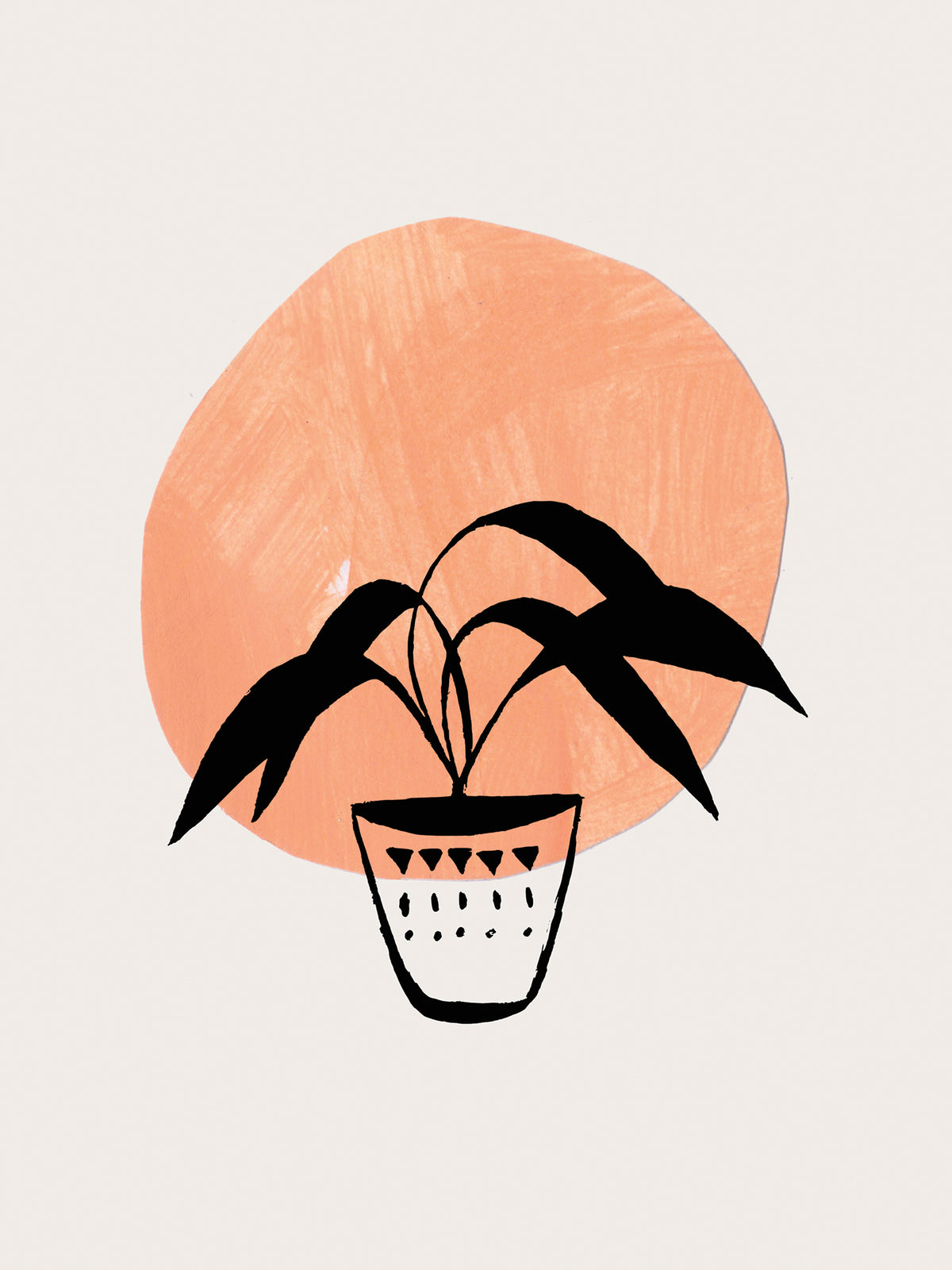 Clay Pot