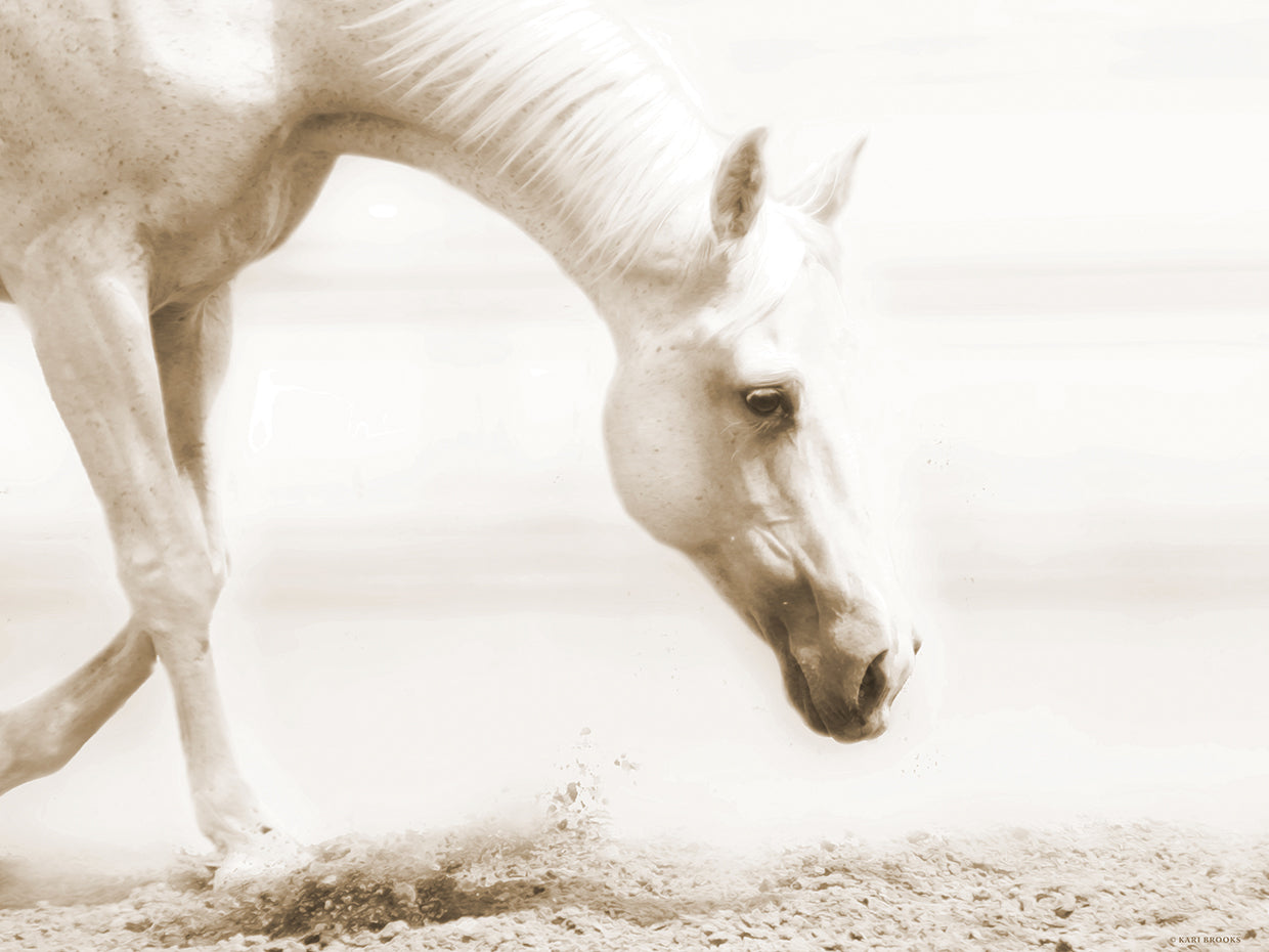 Trail Horse Sepia