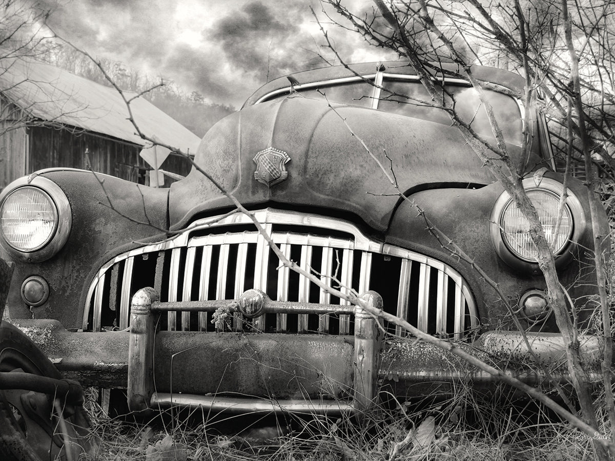 Rustic Charm VII