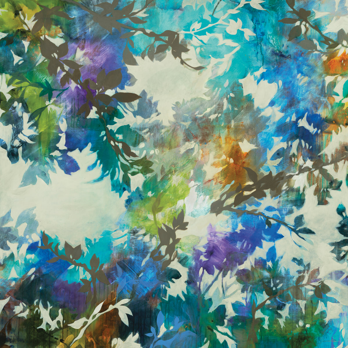 COLORSTREAM II