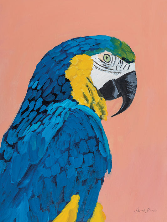 Blue and Gold Macaw Canvas Print