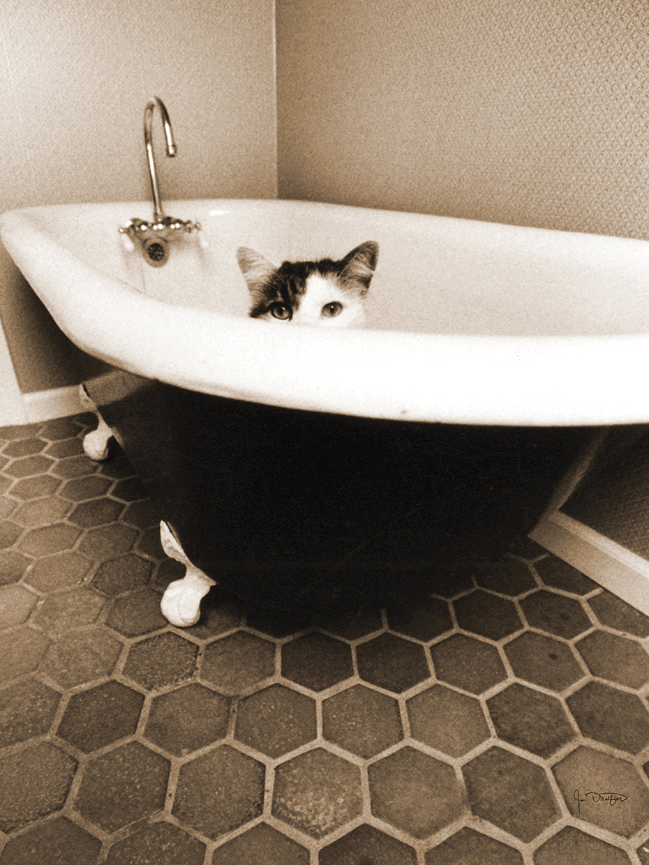 Kitty III