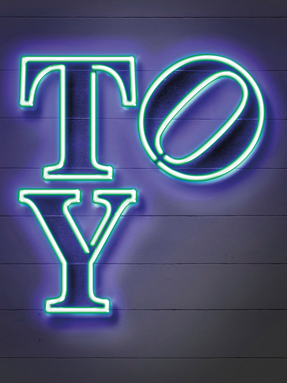 Toy