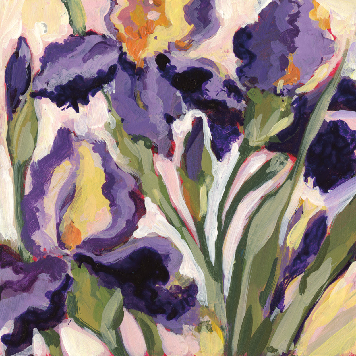 Irises