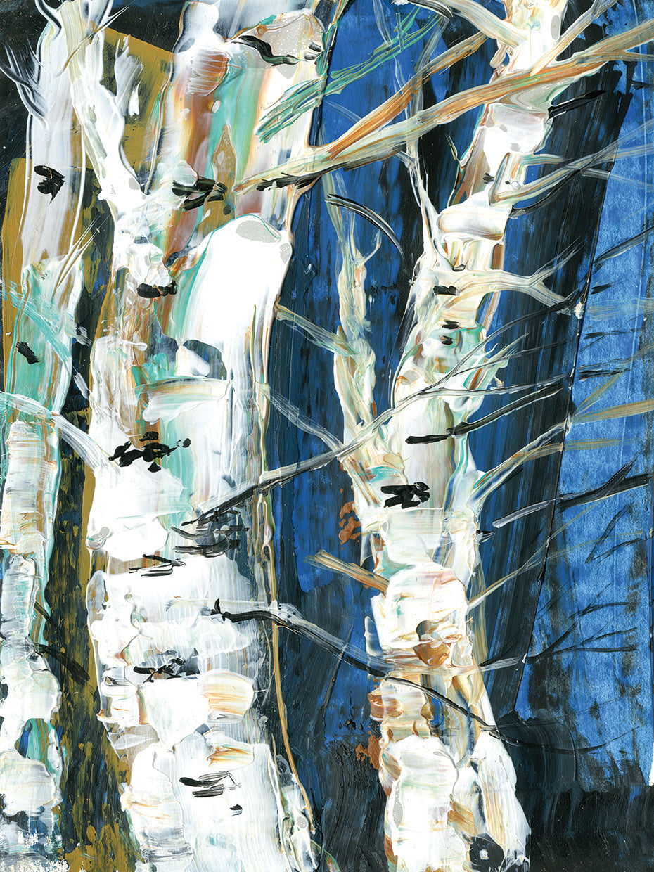 Birch Trees