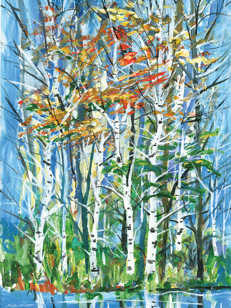 Birch Trees