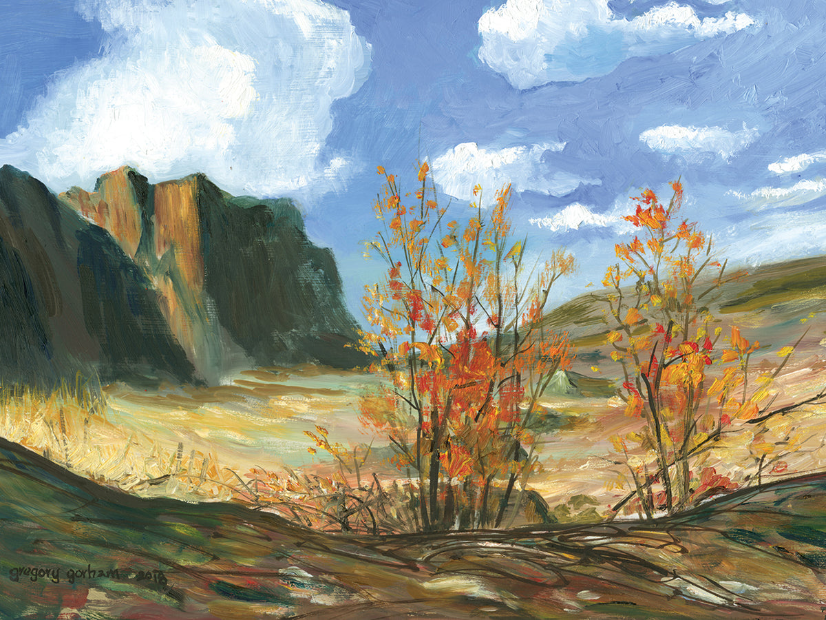 Rocky Vista