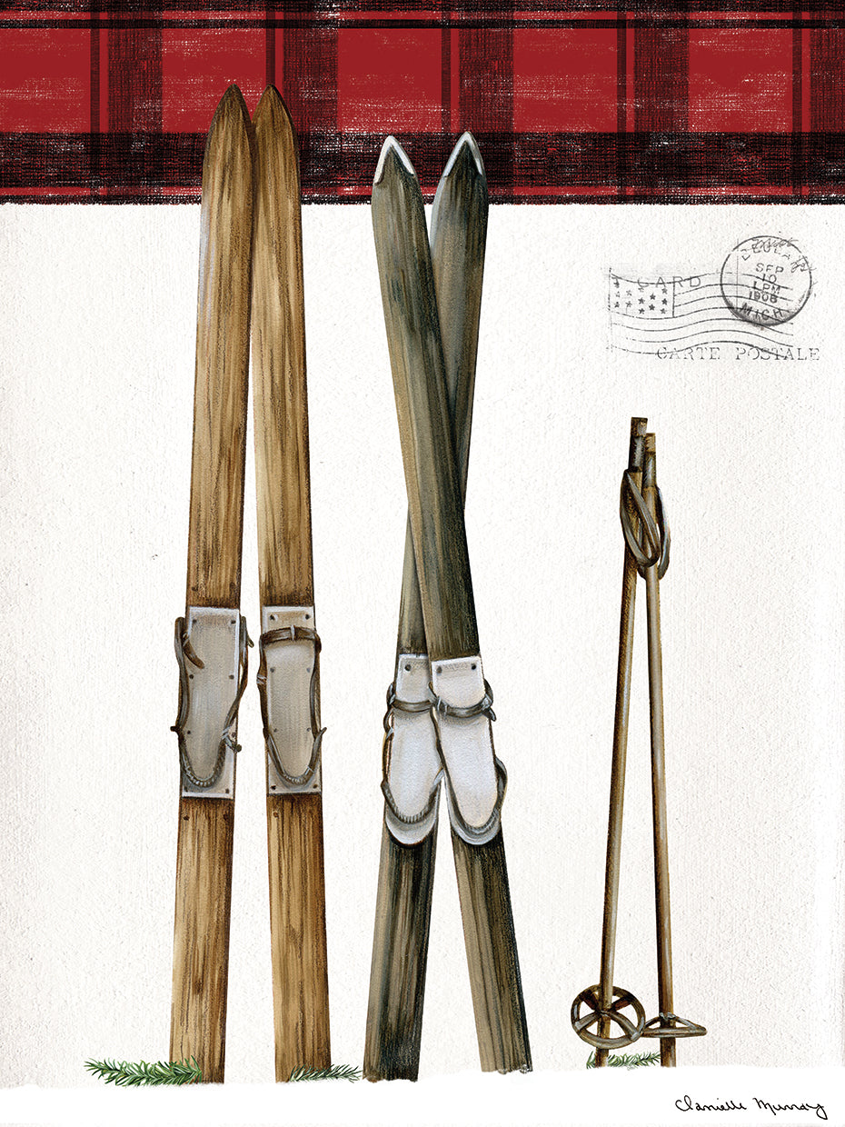 Winter Skis