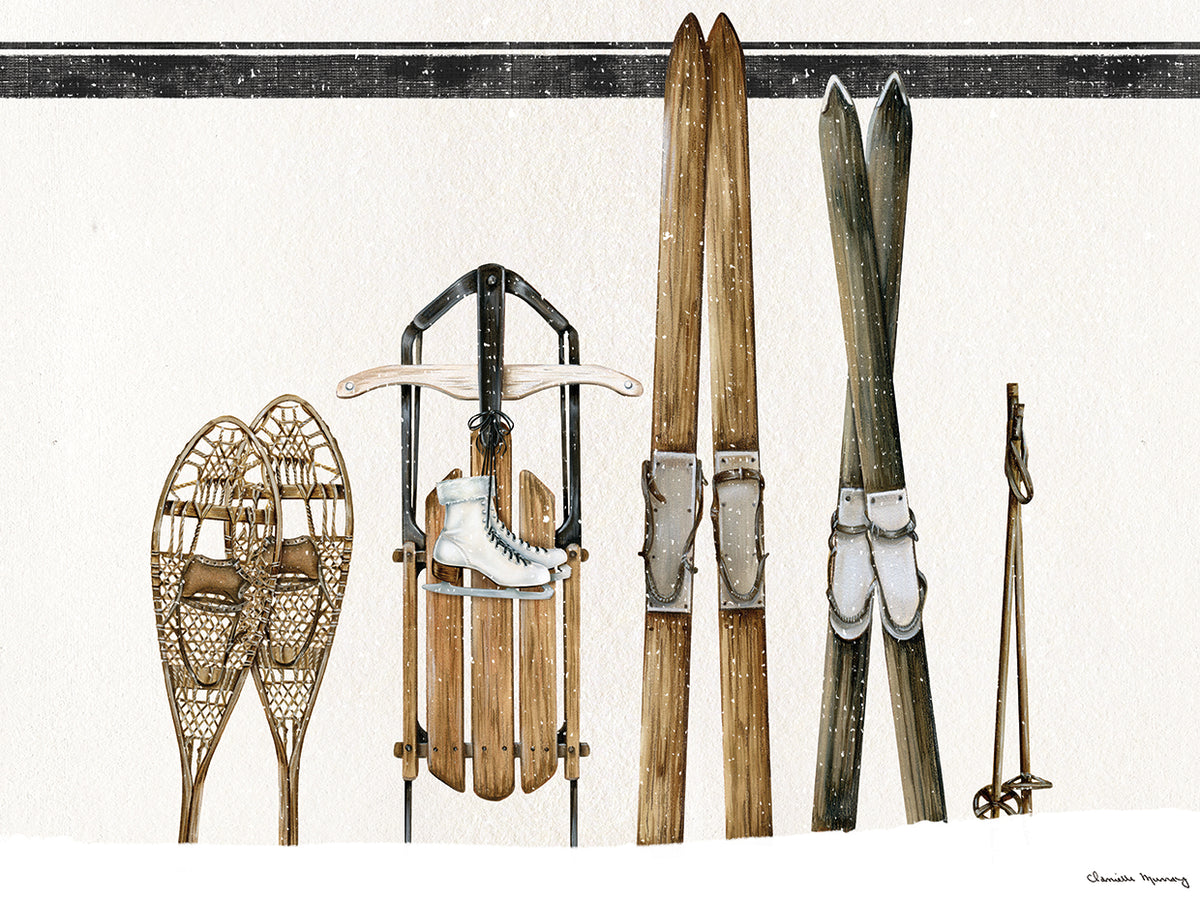 Winter Skis