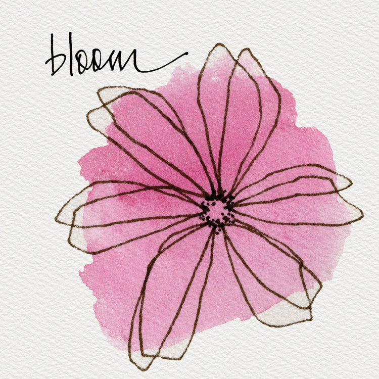 Floral Doodles Bloom
