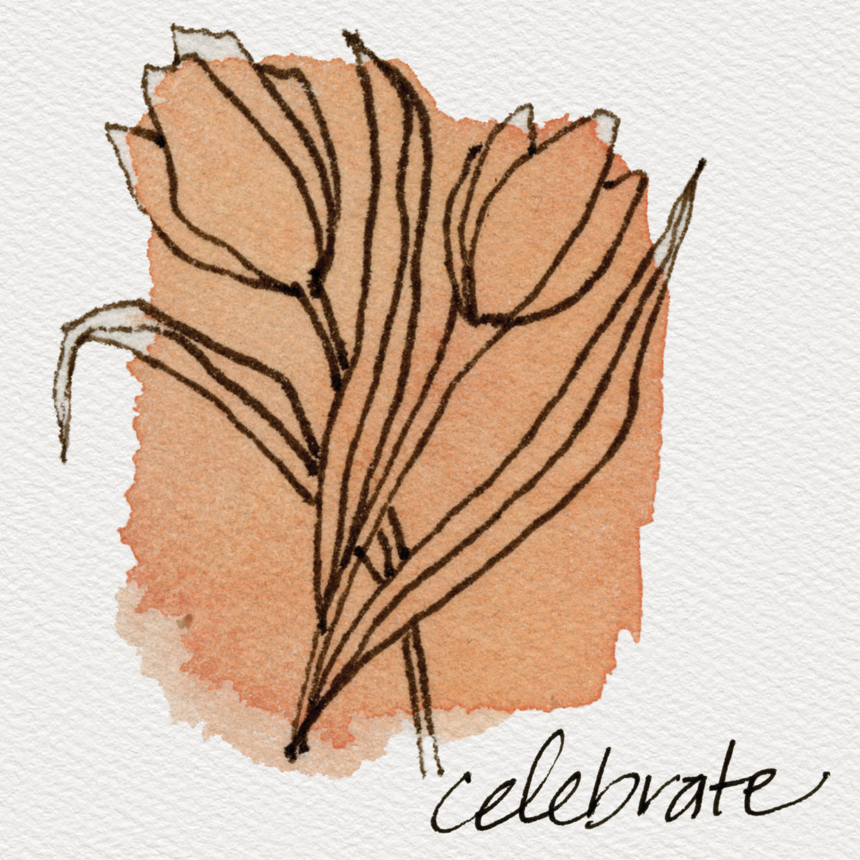 Floral Doodles Celebrate