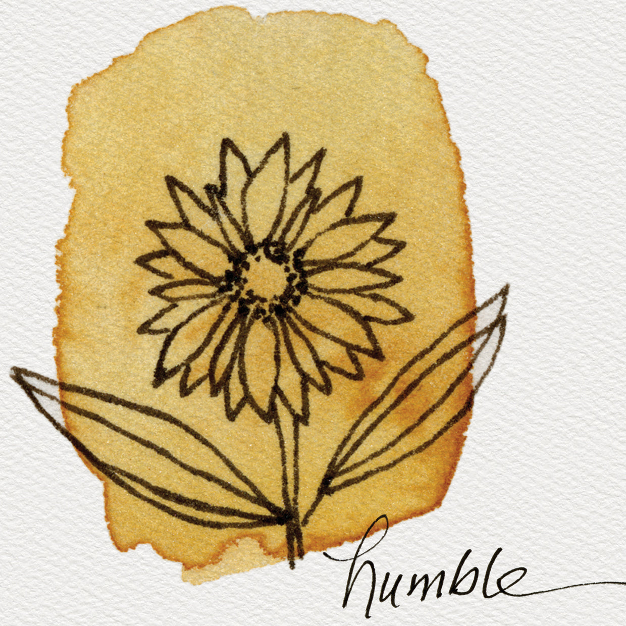 Floral Doodles Humble