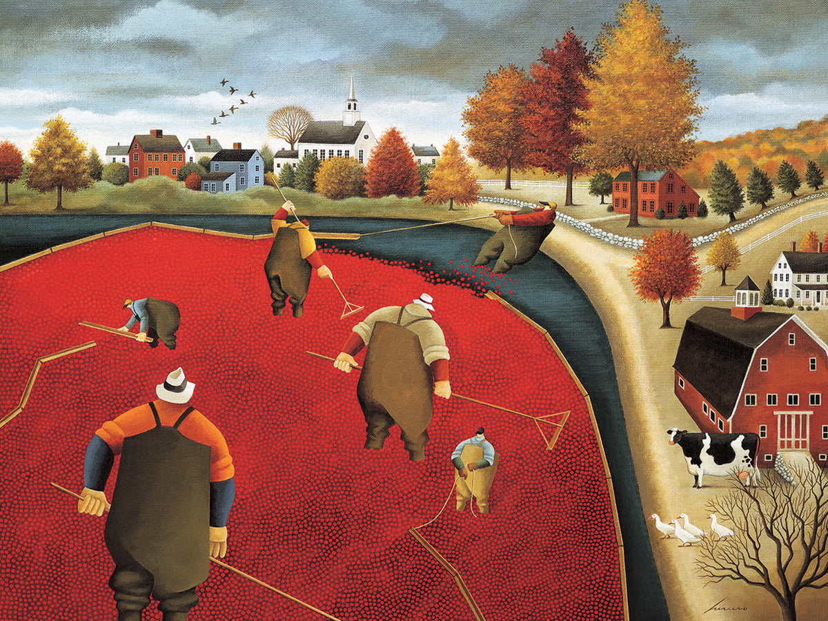 Cranberry Harvest