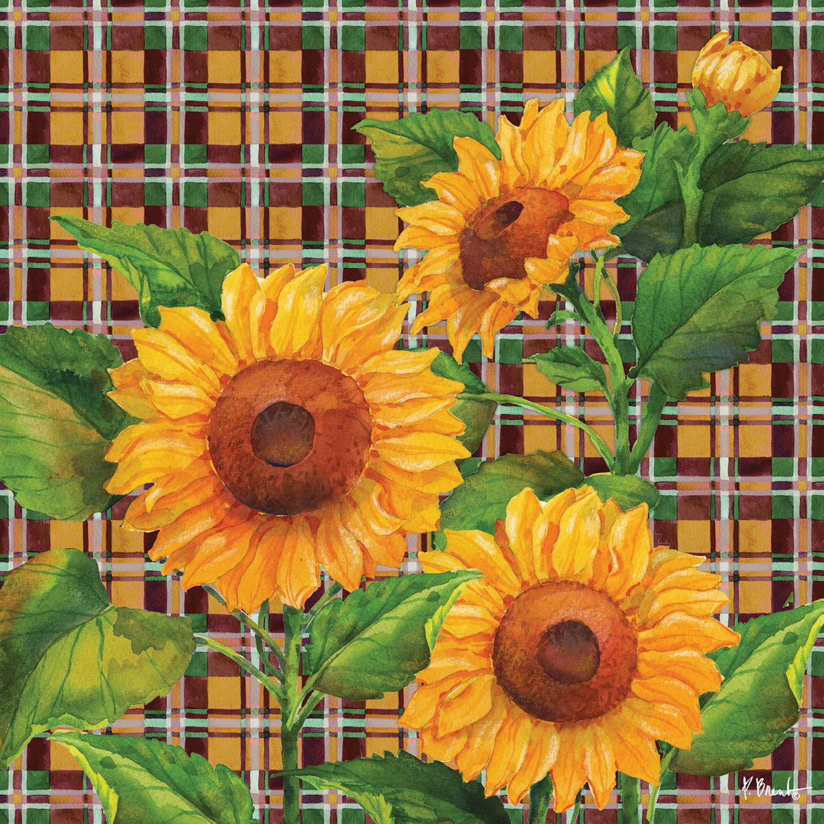 Sunflower Plaid