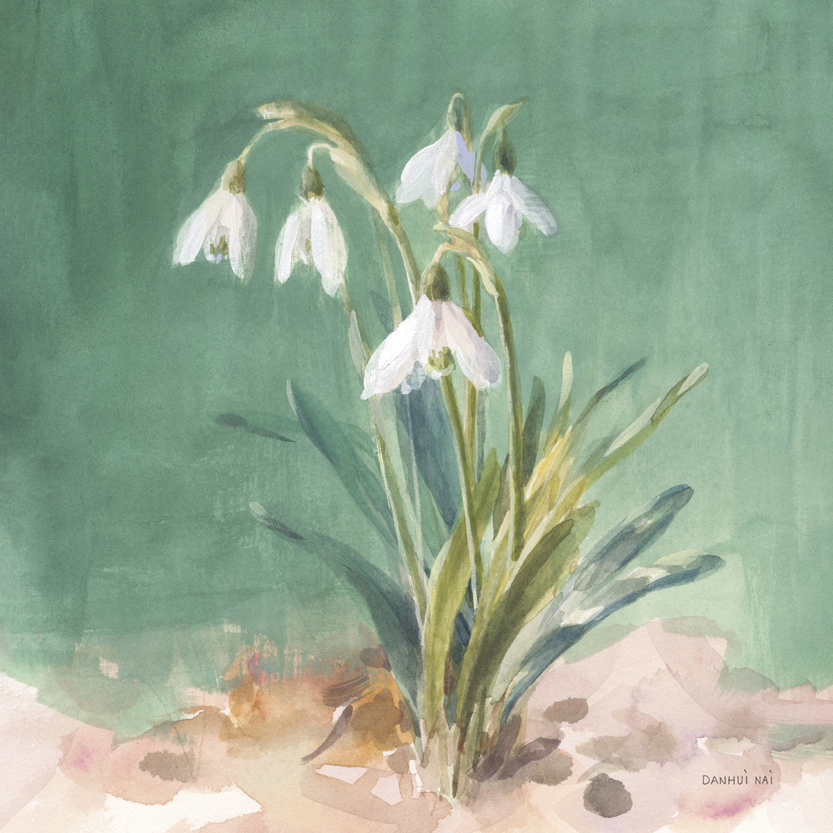 Soft Dewdrops