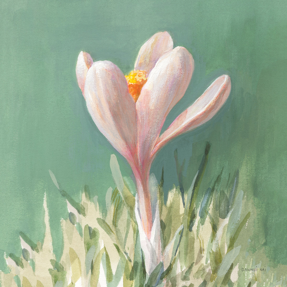 Soft Crocus