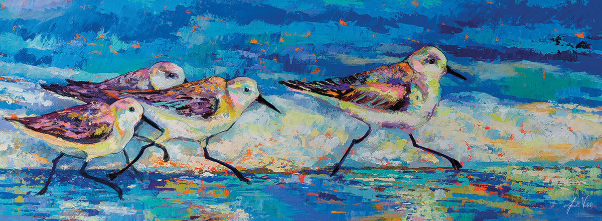 Racing Plovers