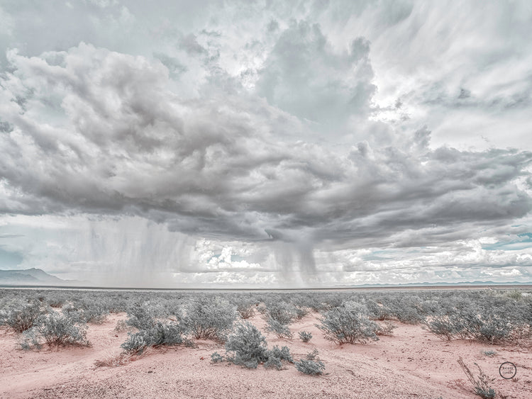 New Mexico Rain