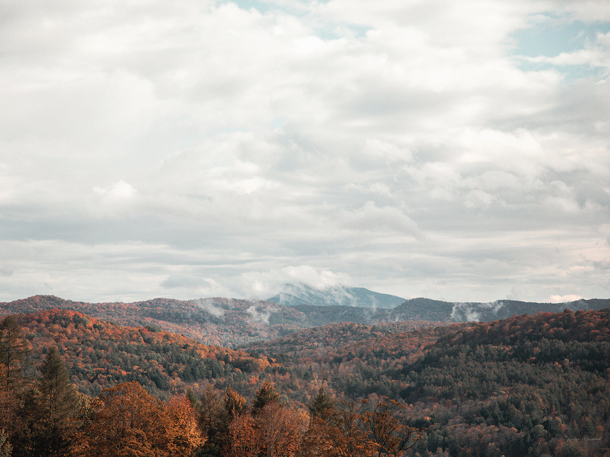 Autumn Hills I