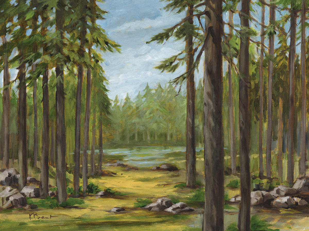 Pine Forest